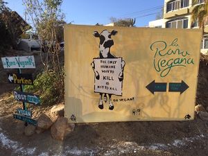 Signs as you drive up at La Rana Vegana in Cabo San Lucas