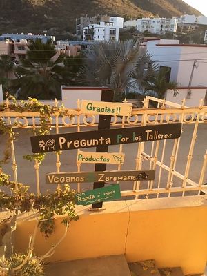 Signs as you walk in at La Rana Vegana in Cabo San Lucas