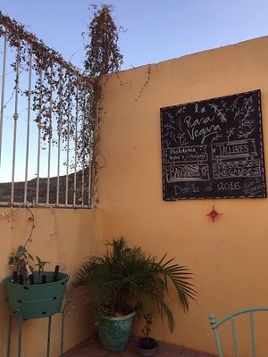 Another view from my table at La Rana Vegana in Cabo San Lucas