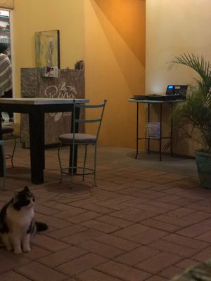 Entrance  at La Rana Vegana in Cabo San Lucas