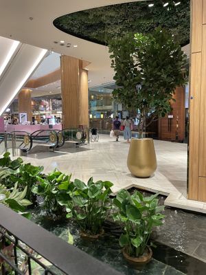 View from Veganerie (Siam Paragon), Bangkok  at Veganerie - Siam Paragon in Bangkok