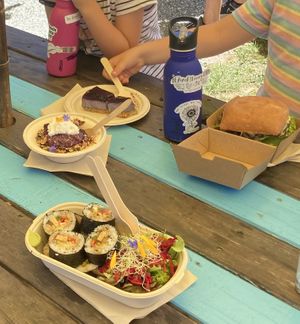 Sushi, oat bowl, vegan cheesecake and burger  at Zens Kitchen Food Truck in Murchison