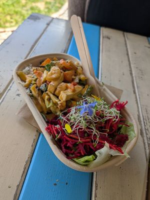 Red Curry at Zens Kitchen Food Truck in Murchison