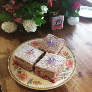 organic feijoada & raspberry cake.. at Zens Kitchen Food Truck in Murchison