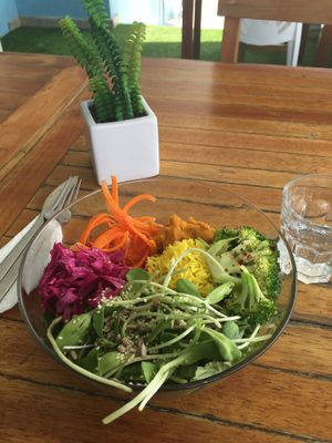 Earth love bowl  at Max & Bee Juicery in Willemstad
