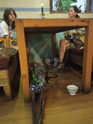 Las perris encantadas at Soul Kitchen in Avila