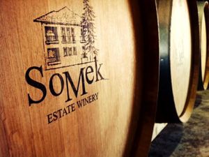 Wine barrles at Somek Winery in Zikhron Yaakov