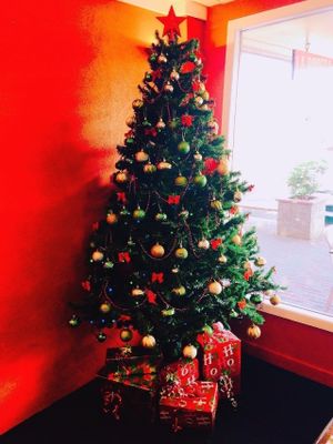 We were here at Christmas, just before the busy summer period. at La Bodega in Whitianga