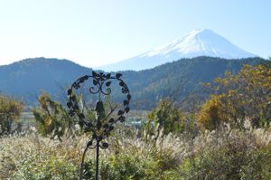 View from the gardens at Sakuya Guesthouse in Fujikawaguchiko