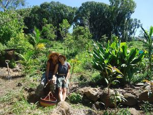 Harvesting time at Paradise One Retreat in Coorabell