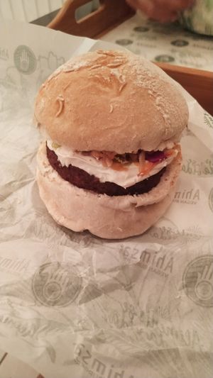 Orion at Ahimsa Burgers in Florianopolis