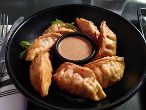 Dumplings at LOV - McGill in Montreal