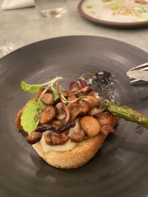   at LOV - McGill in Montreal