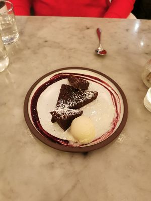 Brownie at LOV - McGill in Montreal