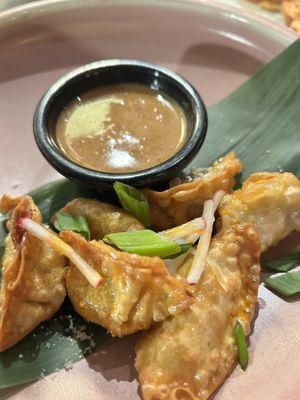 Dumpling 🥟   at LOV - McGill in Montreal