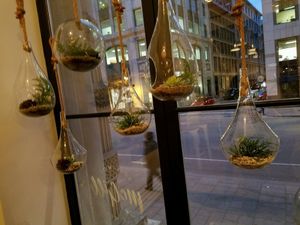 beautiful decor at LOV - McGill in Montreal