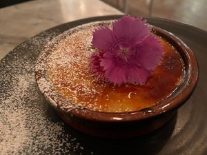  at LOV - McGill in Montreal