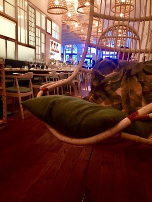 Cool Swing Chairs  at LOV - McGill in Montreal