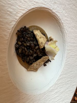 Tempeh  at Avelo in Toronto