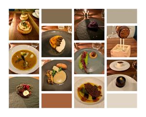 8 courses  at Avelo in Toronto