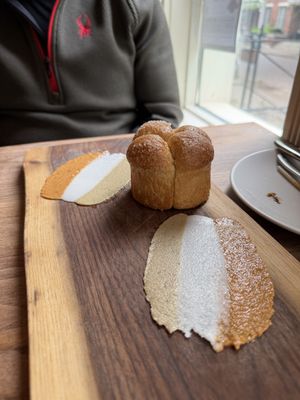  at Avelo in Toronto