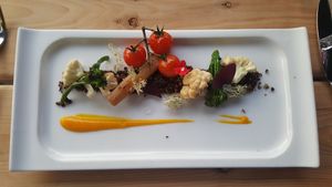 Walk in the forest at Avelo in Toronto