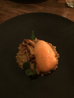 Mushroom risotto  at Avelo in Toronto