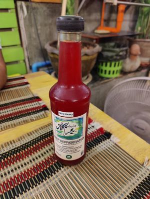 Kombucha red berry at Vegan Heaven in Chiang Mai