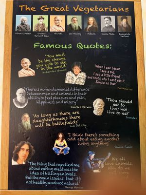   at Vegan Heaven in Chiang Mai