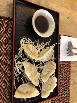 Didn’t like the gyosa, the feeling was not good and the dough was terrible, kind of hard and dry  at Vegan Heaven in Chiang Mai