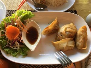 excellent vegan gyoza at Vegan Heaven in Chiang Mai