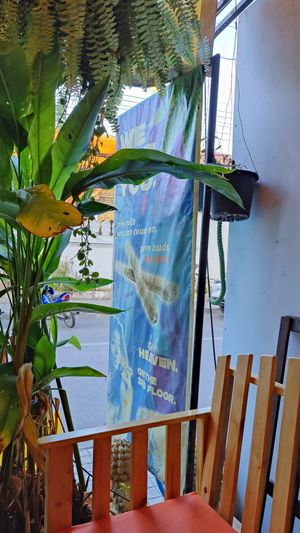  at Vegan Heaven in Chiang Mai