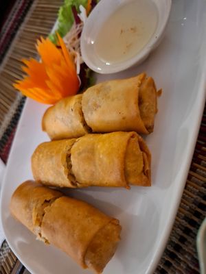 Spring rolls at Vegan Heaven in Chiang Mai