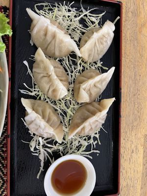 Gyoza #Veganuary at Vegan Heaven in Chiang Mai