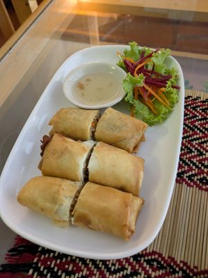 Spring Rolls at Vegan Heaven in Chiang Mai