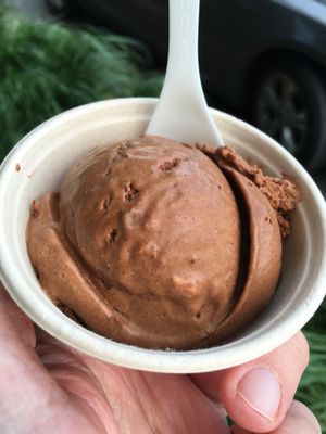 Jamocha Chaga Fudge at Frankie & Jo's - Capitol Hill in Seattle