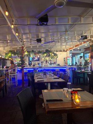  at The Lazy Turtle  in Palm Beach