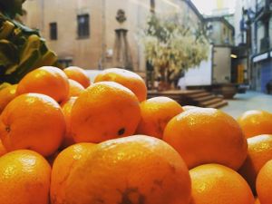 Store in Vic at Arrel in Vic