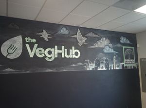 Wall Art at The Veg Hub in Oakland