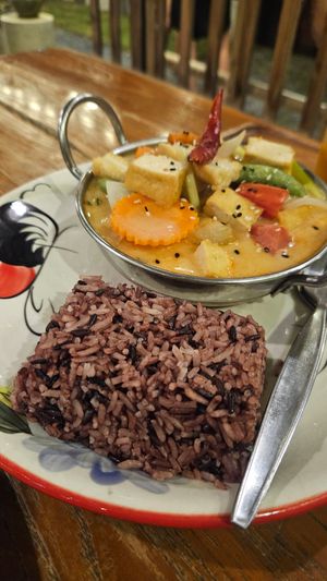 Creamy Tom Kha Soup at Happy Veggie in Koh Lanta