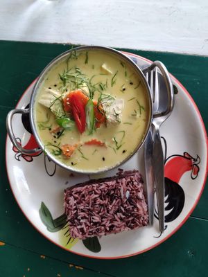 Thai green curry and rice at Happy Veggie in Koh Lanta