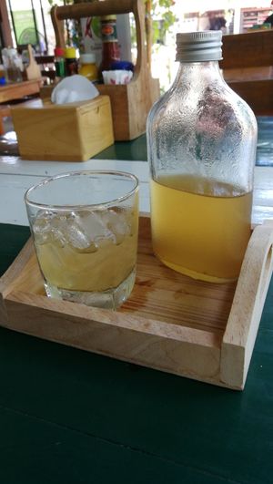 Lemon ginger kombucha at Happy Veggie in Koh Lanta