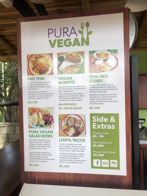 Food really looks like the pics at Pura Vegan in Tamarindo