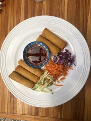Spring rolls at Pura Vegan in Tamarindo