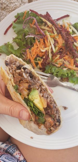 Burrito and side salad at Pura Vegan in Tamarindo