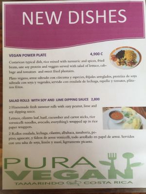 New menu options found 1st October 2019 at Pura Vegan in Tamarindo