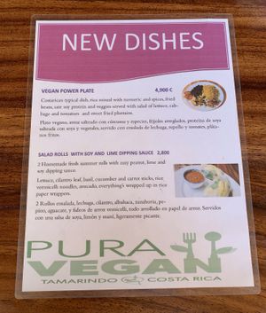 New dishes... at Pura Vegan in Tamarindo