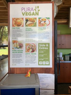 Options... at Pura Vegan in Tamarindo
