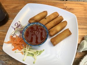 Spring rolls at Pura Vegan in Tamarindo