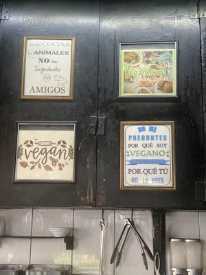   at Veganisimo Loncheria in Mexico City